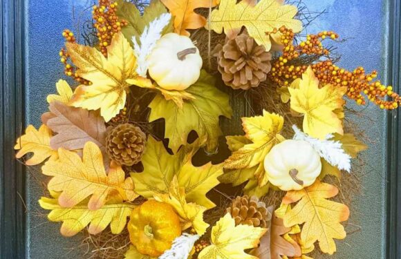 Shoppers race to Tesco to nab cut-price Autumn decorations that will give your home a glow up – prices start from £1.50 | The Sun