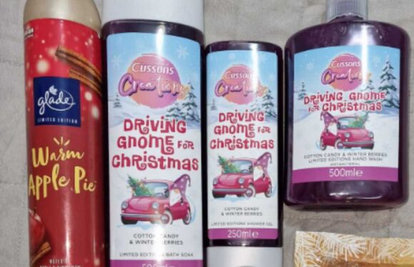 Shoppers rush to Home Bargains for candy floss-scented bubble bath & beauty must-haves scanning for less than £3 | The Sun