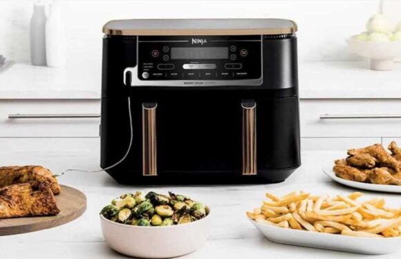 Shoppers rush to buy £270 Ninja Foodi air fryer now scanning at £179 | The Sun