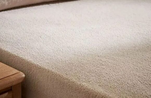 Shoppers scoop up £11 Dunelm bed sheets so warm you ‘won’t ever need an electric blanket’