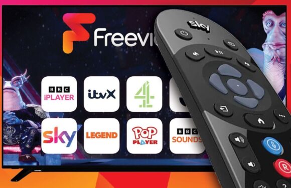 Simple Freeview settings change brings a free Sky channel to your TV this week