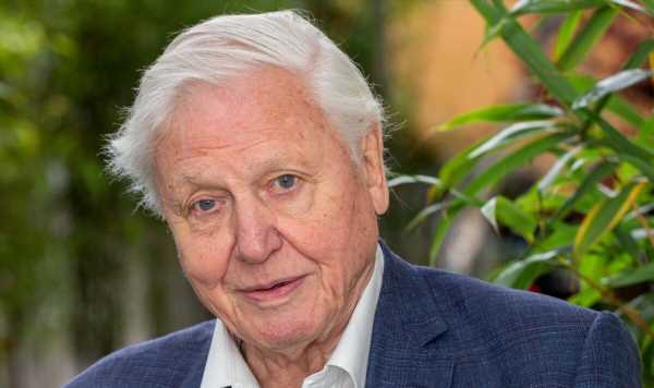 Sir David Attenborough tops list of favourite British celebrity voices