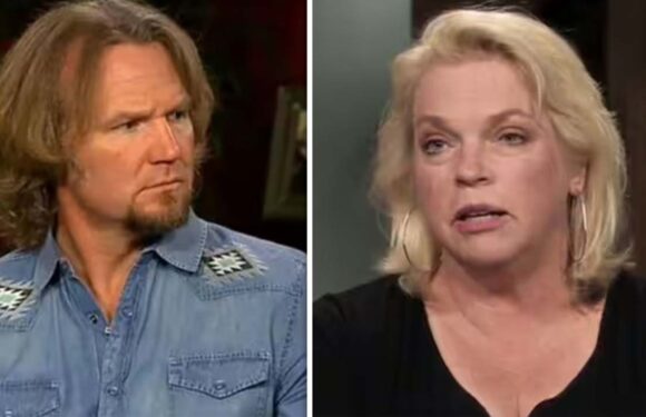 Sister Wives’ Janelle Brown ‘wasn’t heartbroken’ when Kody marriages fell apart