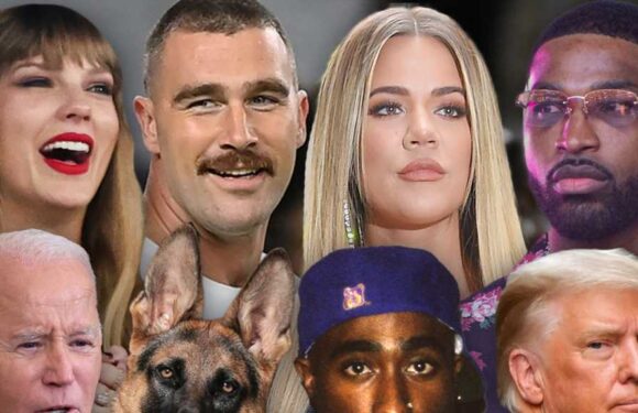 Stars and Scars — You Be the Judge