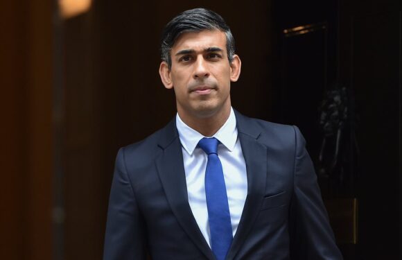 Sunak vows to protect UK from AI amid fears terrorists could use it