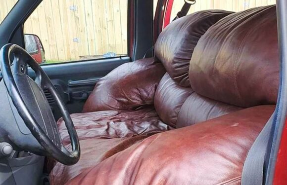 Talk about bad taste! Hilarious images reveal the most ridiculous cars