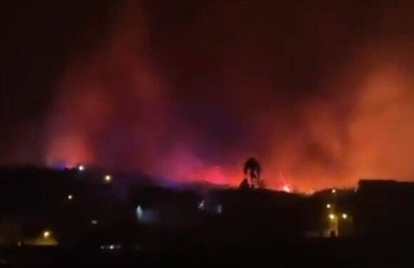 Tenerife wildfire rips through forest before thousands are evacuated