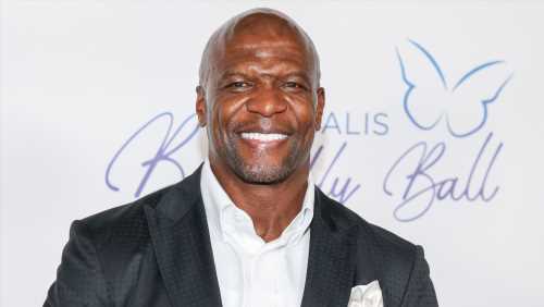 Terry Crews Recalls Experiencing Financial Insecurity After Retiring From the NFL: My Pride Left Me Feeling Devastated