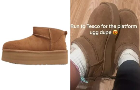 Tesco shoppers are grabbing Ugg dupes – they look almost identical and are a whopping £137 cheaper | The Sun