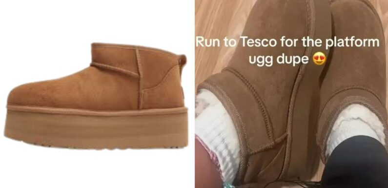 Tesco shoppers are grabbing Ugg dupes – they look almost identical and are a whopping £137 cheaper | The Sun