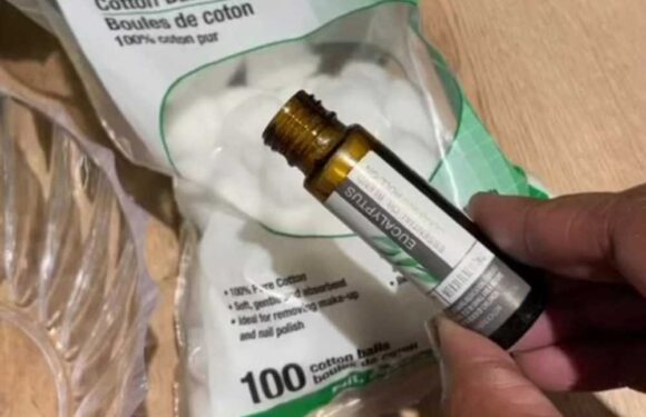 The £1 hack that’ll stop rats and mice creeping into your home as it gets colder | The Sun