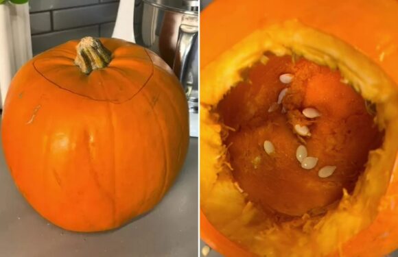 The easiest way to carve out your Halloween pumpkin in seconds and it makes no mess | The Sun