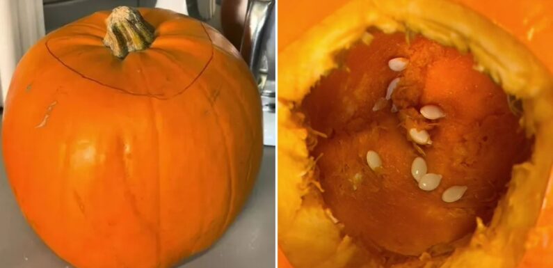 The easiest way to carve out your Halloween pumpkin in seconds and it makes no mess | The Sun