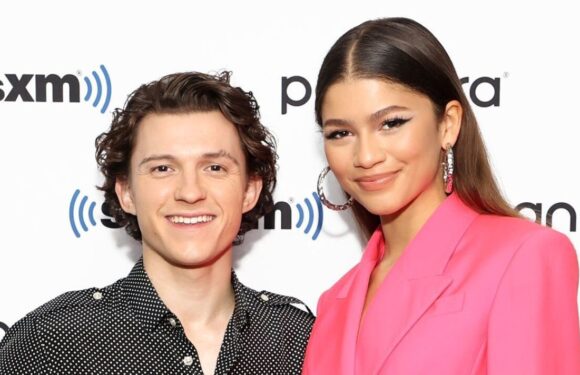 Tom Holland delights fans with adorable unseen puppy date photos of Zendaya