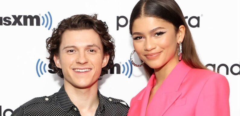Tom Holland delights fans with adorable unseen puppy date photos of Zendaya