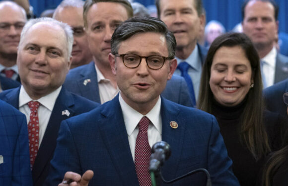 Trump ally elected new US House Speaker, ending weeks of wrangling