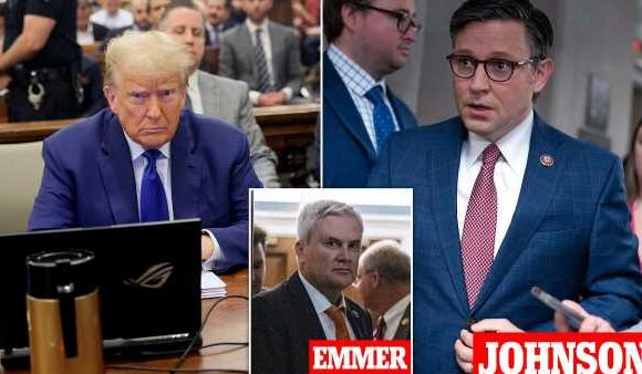 Trump tells Republicans his 'suggestion' would be to vote for Johnson