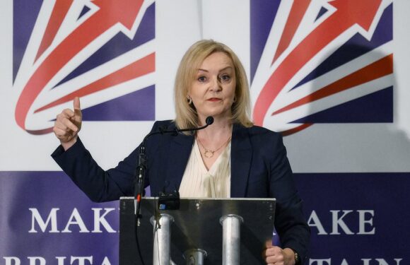 Truss's rebels to sink Sunak? 'Dozens' of Tory MPs to resist tax rises