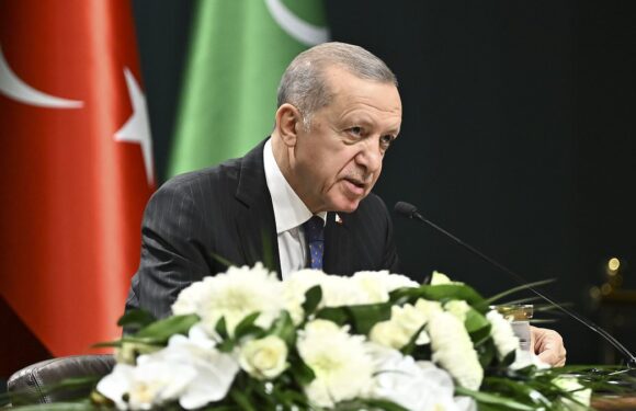 Turkish President accuses 'silence' on Israel's bombardment of Gaza