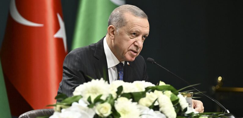 Turkish President accuses 'silence' on Israel's bombardment of Gaza