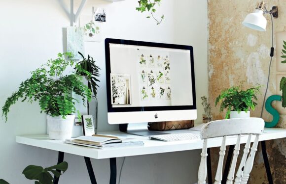 Turn your home into a sensory haven with mindful decor and natural scents