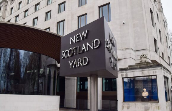 Two Met officers 'still in jobs despite claims they used prostitutes'