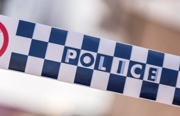 Two children dead in Geelong shed fire