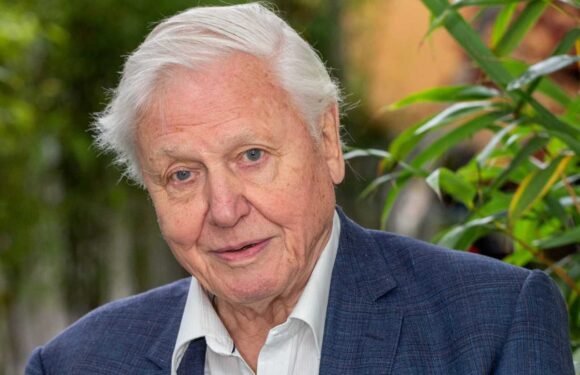 UK's favourite celebrity voice revealed – do you agree with the list? | The Sun