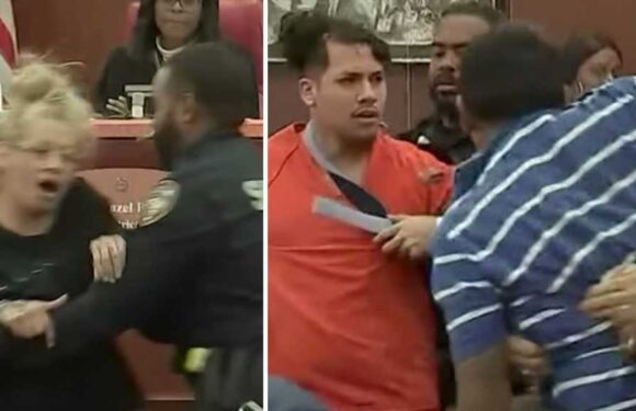Video: Brawl Breaks Out In Court After Man Accused of Shooting Girlfriend 22 Times Pleads Guilty to Murder