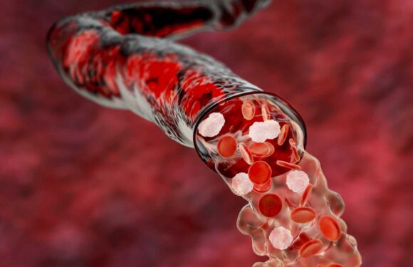 Virtually all children infected with Covid suffer blood vessel damage that can trigger clots, scientists warn | The Sun