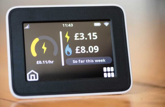 Warning to households with smart meters over switching providers – are you affected? | The Sun