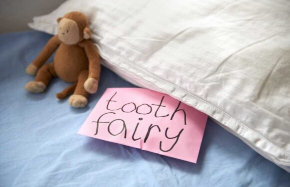 Watch the hilarious moment dad realises the huge mistake he made with the Tooth Fairy after having a few drinks | The Sun