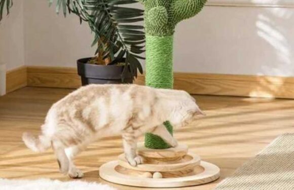 Wayfair Black Friday 2023: what to expect this November | The Sun