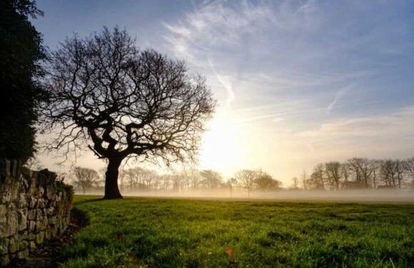 We don't want a huge new sports ground built right next door – we're sick of football, we just want our park | The Sun