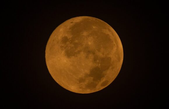 Weekly guide to what the stars have in store for YOU