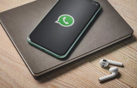 WhatsApp trick helps you find out how many texts you’ve sent and received