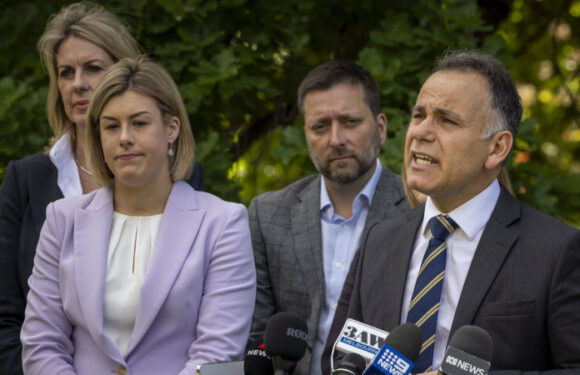 When will the Victorian Liberals learn that zingers don’t win elections?