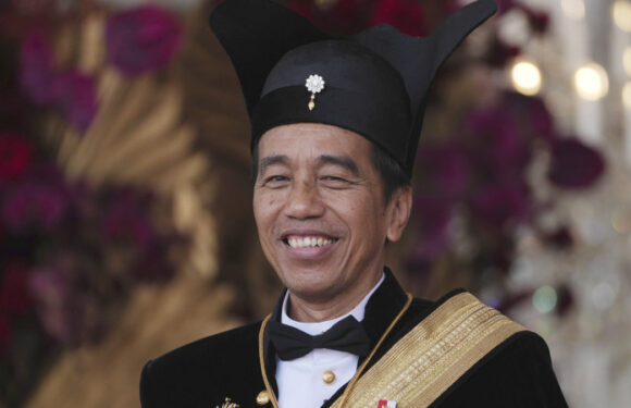 Widodo distances himself from court ruling that allows his son to run for VP