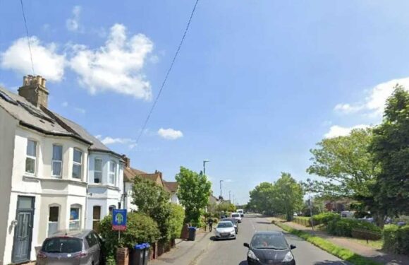 Woman and her pet mauled by German Shepherd as cops hunt beast's owner | The Sun