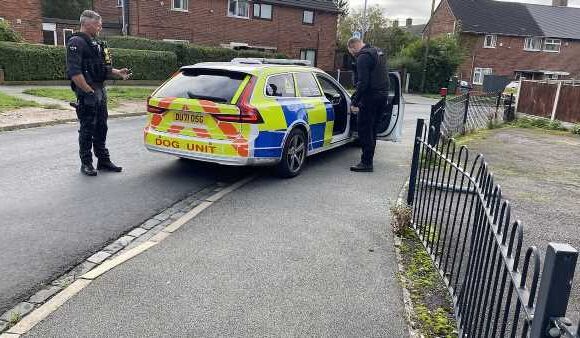 XL Bully is put down after savaging 'mother and daughter'