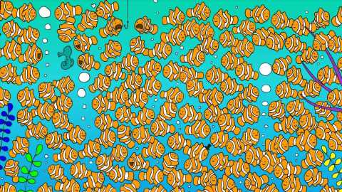 You have 20/20 vision if you can spot the goldfish swimming among the clownfish in 30 seconds | The Sun