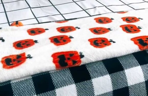 You have 20/20 vision if you can spot the pumpkins hidden in all 5 brainteasers in under 3 seconds each | The Sun