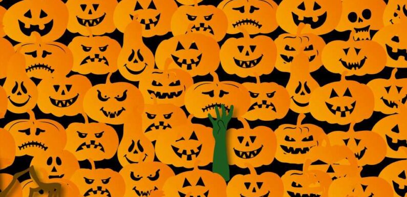 You have 20/20 vision if you can spot the skull among the pumpkins in less than 15 seconds | The Sun