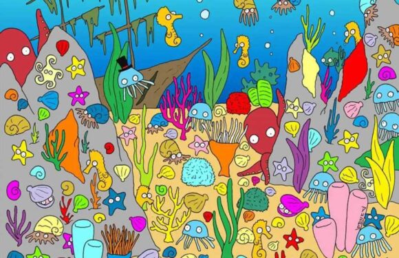 You just might have a very high IQ if you can spot the fish in the colourful seabed in under 10 seconds | The Sun