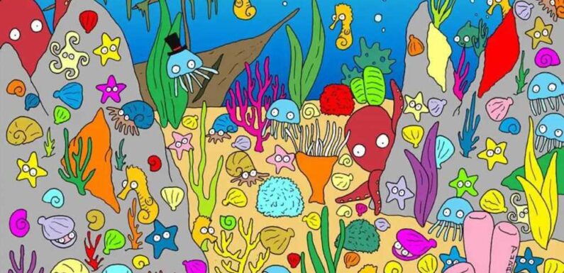 You just might have a very high IQ if you can spot the fish in the colourful seabed in under 10 seconds | The Sun