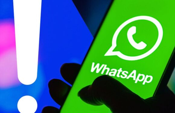 Your WhatsApp chats have a worrying flaw but a secret code will help fix it