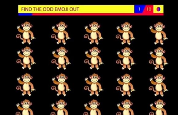 You're in the top 10% if you can spot the odd monkey emoji in the group in 10 seconds or less | The Sun