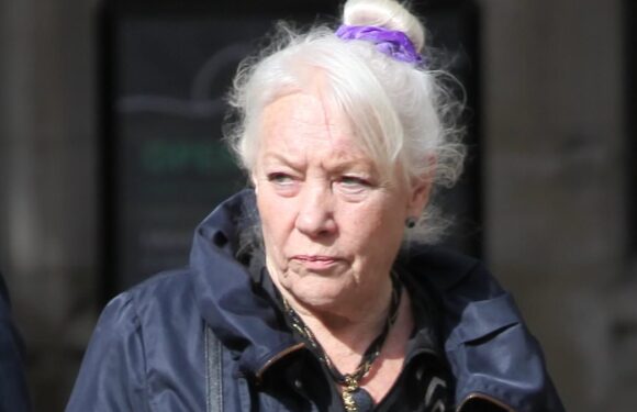 'Ireland's Blue Peter' host faces £100k bill after hedge and gate row