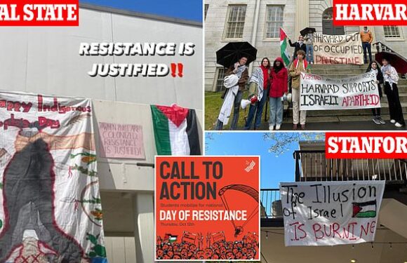 'Students for Justice in Palestine' are plotting a 'Day of Resistance'