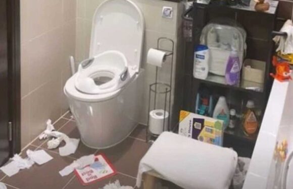 'Ugly' brown carpet, screwed-up loo roll & clutter – Inside celebs' messiest bathrooms | The Sun